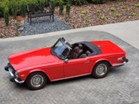 Triumph TR6 - <small></small> 50.000 € <small>TTC</small> - #15