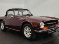 Triumph TR6 - <small></small> 19.900 € <small>TTC</small> - #14