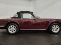 Triumph TR6 - <small></small> 19.900 € <small>TTC</small> - #24