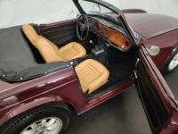 Triumph TR6 - <small></small> 19.900 € <small>TTC</small> - #43