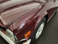 Triumph TR6 - <small></small> 19.900 € <small>TTC</small> - #73