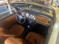 Triumph TR6 - <small></small> 42.900 € <small>TTC</small> - #3