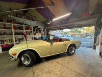 Triumph TR6 - <small></small> 42.900 € <small>TTC</small> - #10