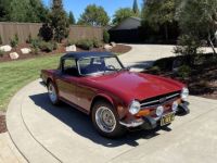 Triumph TR6 - <small></small> 35.600 € <small>TTC</small> - #6