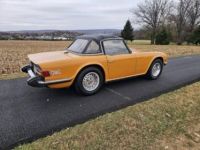 Triumph TR6 convertible  - <small></small> 26.000 € <small>TTC</small> - #5