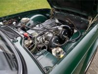 Triumph TR6 TOP - <small></small> 35.000 € <small>TTC</small> - #44