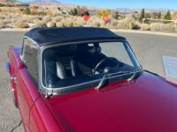 Triumph TR6 TR-6  - <small></small> 33.000 € <small>TTC</small> - #22