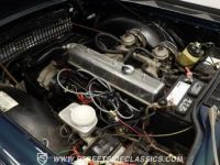 Triumph TR6 TR-6  - <small></small> 26.600 € <small>TTC</small> - #31