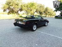 Triumph TR7 - <small></small> 20.300 € <small>TTC</small> - #8