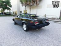 Triumph TR7 - <small></small> 20.300 € <small>TTC</small> - #9