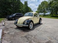 Volkswagen Beetle - Classic  - <small></small> 18.000 € <small>TTC</small> - #1