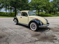 Volkswagen Beetle - Classic  - <small></small> 18.000 € <small>TTC</small> - #5