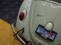 Volkswagen Beetle - Classic  - <small></small> 30.000 € <small>TTC</small> - #7