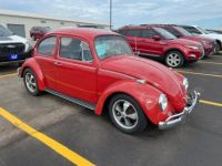 Volkswagen Beetle - Classic  - <small></small> 24.000 € <small>TTC</small> - #3