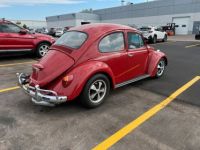 Volkswagen Beetle - Classic  - <small></small> 24.000 € <small>TTC</small> - #5