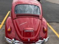 Volkswagen Beetle - Classic  - <small></small> 24.000 € <small>TTC</small> - #6