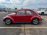 Volkswagen Beetle - Classic  - <small></small> 24.000 € <small>TTC</small> - #8