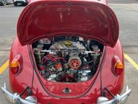 Volkswagen Beetle - Classic  - <small></small> 24.000 € <small>TTC</small> - #9