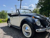 Volkswagen Beetle - Classic  - <small></small> 43.000 € <small>TTC</small> - #1