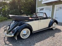 Volkswagen Beetle - Classic  - <small></small> 43.000 € <small>TTC</small> - #3