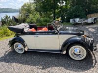 Volkswagen Beetle - Classic  - <small></small> 43.000 € <small>TTC</small> - #4