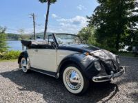 Volkswagen Beetle - Classic  - <small></small> 43.000 € <small>TTC</small> - #5