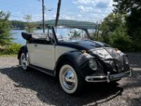 Volkswagen Beetle - Classic  - <small></small> 43.000 € <small>TTC</small> - #6