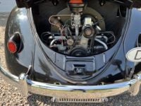 Volkswagen Beetle - Classic  - <small></small> 43.000 € <small>TTC</small> - #14