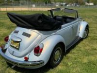 Volkswagen Beetle - Classic  - <small></small> 20.000 € <small>TTC</small> - #3