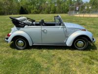 Volkswagen Beetle - Classic  - <small></small> 20.000 € <small>TTC</small> - #11