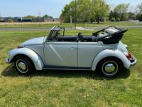 Volkswagen Beetle - Classic  - <small></small> 20.000 € <small>TTC</small> - #12