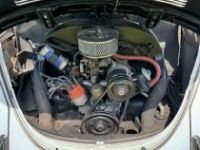 Volkswagen Beetle - Classic  - <small></small> 20.000 € <small>TTC</small> - #14