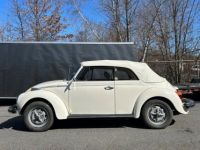 Volkswagen Beetle - Classic  - <small></small> 22.000 € <small>TTC</small> - #6