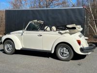 Volkswagen Beetle - Classic  - <small></small> 22.000 € <small>TTC</small> - #11