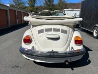 Volkswagen Beetle - Classic  - <small></small> 22.000 € <small>TTC</small> - #24