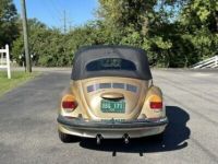 Volkswagen Beetle - Classic  - <small></small> 36.000 € <small>TTC</small> - #6