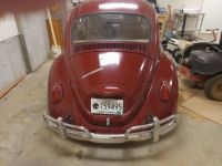 Volkswagen Beetle - Classic  - <small></small> 23.000 € <small>TTC</small> - #19