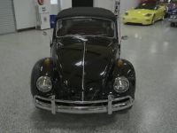 Volkswagen Beetle - Classic  - <small></small> 48.000 € <small>TTC</small> - #5