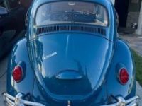 Volkswagen Beetle - Classic  - <small></small> 37.000 € <small>TTC</small> - #16