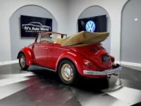 Volkswagen Beetle - Classic  - <small></small> 34.000 € <small>TTC</small> - #4