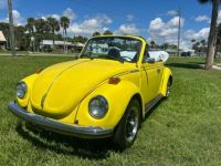 Volkswagen Beetle - Classic  - <small></small> 20.000 € <small>TTC</small> - #2