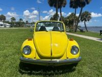 Volkswagen Beetle - Classic  - <small></small> 20.000 € <small>TTC</small> - #3