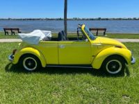 Volkswagen Beetle - Classic  - <small></small> 20.000 € <small>TTC</small> - #5