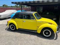 Volkswagen Beetle - Classic  - <small></small> 20.000 € <small>TTC</small> - #23