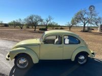 Volkswagen Beetle - Classic  - <small></small> 20.000 € <small>TTC</small> - #2