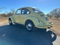 Volkswagen Beetle - Classic  - <small></small> 20.000 € <small>TTC</small> - #6