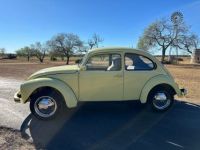 Volkswagen Beetle - Classic  - <small></small> 20.000 € <small>TTC</small> - #9