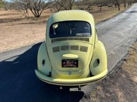 Volkswagen Beetle - Classic  - <small></small> 20.000 € <small>TTC</small> - #11