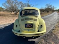 Volkswagen Beetle - Classic  - <small></small> 20.000 € <small>TTC</small> - #12