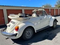 Volkswagen Beetle - Classic  - <small></small> 22.000 € <small>TTC</small> - #8